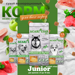 Корм Junior Holistic для собак Акари Киар